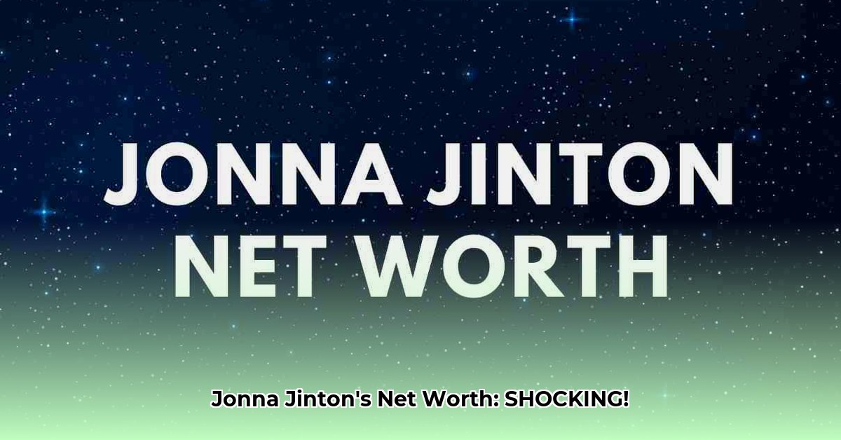 jonna-jinton-net-worth